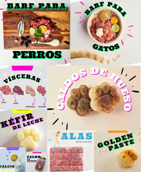 Carrusel PARA PERROS Y GATOS 