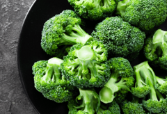 BROCOLI KG