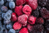 MIX BERRIES (FRAMBUESA-MORAS-ARANDANOS) KG