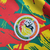 Senegal - Treino 25/26 - Neri Imports | Camisas de Time