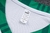 Conjunto de Viagem - Palmeiras Branco e Verde na internet