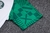 Imagem do Conjunto de Viagem - Palmeiras Branco e Verde