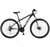 Bicicleta Firebird Aluminio ECO RODADO 29 - Avalon