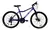 Bicicleta Mountain Bike Fire Bird Rodado 26 Frenos A Disco en internet