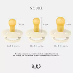 Imagen de Chupete BIBS Violet Sky/Pumpkin