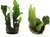 Planta Aquatica Microsorio (Unidade)