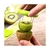 CORTADOR DE KIWI