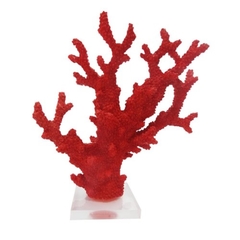 Coral Decorativo Vermelho Algas Base Transp. - comprar online