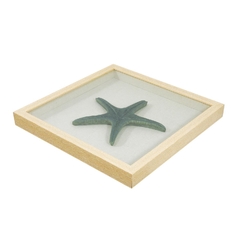Quadro Estrela Marinha Poliresina Verde E Fundo Bege - comprar online