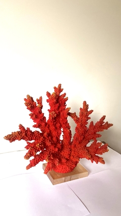 Imagem do Coral Decorativo Resina Vermelho Rico Detalhes Base Cristal