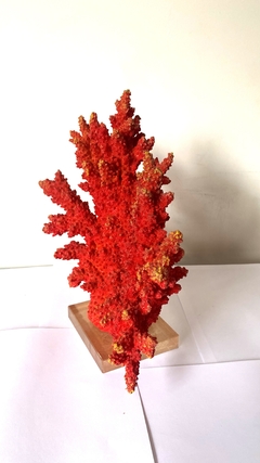 Coral Decorativo Resina Vermelho Rico Detalhes Base Cristal