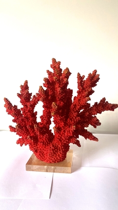 Coral Decorativo Resina Vermelho Rico Detalhes Base Cristal - comprar online