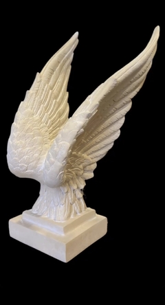 Escultura 75cm Asa Pegasus Decorativo Fino Acabamento