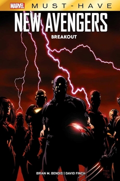 THE AMAZING SPIDER-MAN 17 BEYOND FINAL