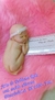 Molde de Silicone - Bebê de Bruços 7cm - loja online