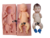Molde de Silicone - Bebê Bipartido de Frente 8,5cm - Bl 1013