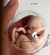 Molde de Silicone - Bebê Útero Bipartido 8cm - loja online