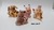 Molde de Silicone - Kit Mini Pet P (BLK1500) - Biscuit da Lu