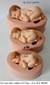 Molde de Silicone - Kit com 03 Bebês Realistas | 5cm 7cm 10cm - comprar online