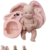 Molde de Silicone - Kit Bebê Reborn 01 Bipartido 20cm + Olhos Resinados 480P