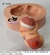 Molde de Silicone - Bebê Pompom Coração 6cm - Biscuit da Lu