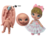 Molde de Silicone - Kit Boneca Doll Topo Bolo Kloé Biscuit