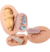 Molde de Silicone - Kit Bebê Risadinha 5cm + Placa Cheguei + Mamadeira + Chupetas