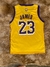 REGATA LAKERS AMARELA na internet