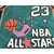 Chicago Bulls All-star 96 Jordan - Shoop Online