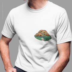 Camiseta Pedra Da Boca na internet