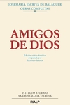 Amigos de Dios (Critico-Histórica)