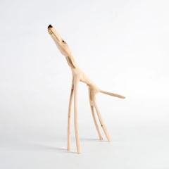 Cachorro Catanduba - Dimas na internet