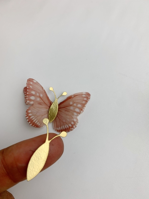 Miolo de BORBOLETA