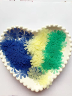 Aplique de flores modelo 22 na internet