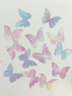 Aplique borboleta Tie Dye