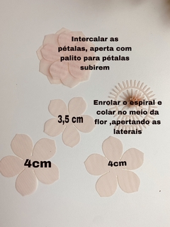 FLORES EM VOIL PARA MONTAR com espiral - Drimia