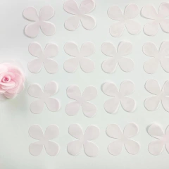 PÉTALAS CAMÉLIA - loja online