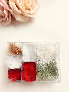 KIT FESTA 325 APLIQUES