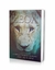 O Despertar da Leoa - Lisa Bevere - comprar online