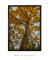 Quadro Decorativo Ipê Amarelo - loja online