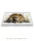 Quadro para Sala Leão Aquarelado Horizontal - loja online