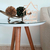 Mesa De Canto Lateral Pé Palito Branca com espelho 50 cm Diâmetro 70 cm Altura Casa Uai - comprar online
