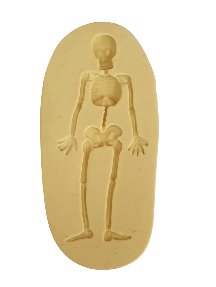 ESQUELETO G Cod 2059