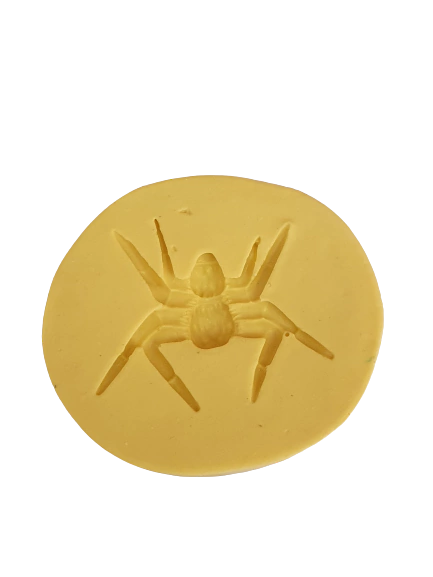 Molde de silicone Aranha