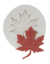 Molde de silicone Folha canadense Cod 2033