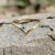 Anillo en Plata 925 con Gran Corazón de Zirconia Cúbica - (copia) - buy online