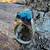 Anillos Paisajes Encapsulados en internet