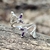 Anillo Naturaleza en Plata 925 y fruto de Zirconia Cúbica - (copia) - buy online