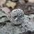 Anillo Árbol de la Vida Crann Bethadh Celta-Vikingo en internet