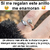 Anillo Abrazo: Un Vínculo Eterno Más Allá de la Distancia en internet